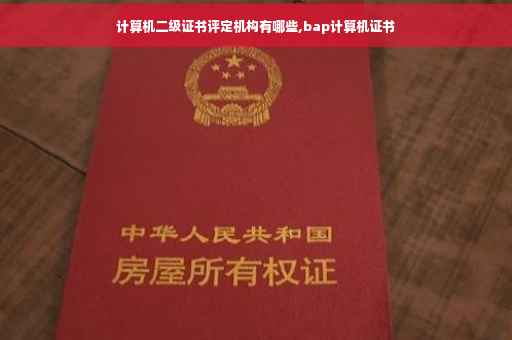 计算机二级证书评定机构有哪些,bap计算机证书