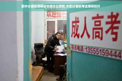 职中计算机等级证书是什么级别,中职计算机考试等级划分