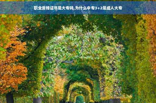 职业资格证书是大专吗,为什么中专3+2是成人大专