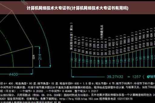 计算机网络技术大专证书(计算机网络技术大专证书有用吗)