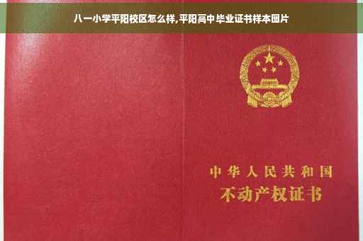 八一小学平阳校区怎么样,平阳高中毕业证书样本图片