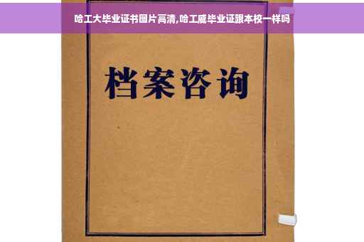 湖北房贷收入证明武汉防疫证明怎么开,湖北房贷收入证明