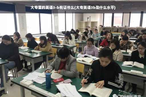 大专里的英语3-b有证书么(大专英语3b是什么水平)