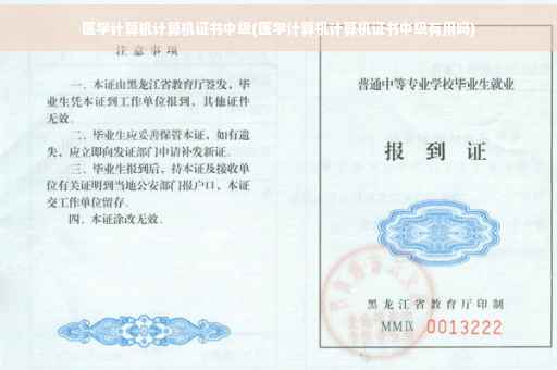 医学计算机计算机证书中级(医学计算机计算机证书中级有用吗)