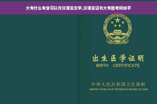 大专什么专业可以升汉语言文学,汉语言证书大专能考吗知乎