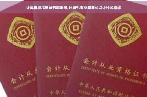 计算机程序员证书哪里考,计算机专业毕业可以评什么职称