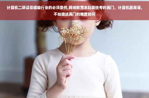 计算机二级证是哪些行业的必须条件,网络教育本科要统考的两门，计算机跟英语，不知道这两门的难度如何