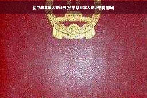 初中毕业拿大专证书(初中毕业拿大专证书有用吗)