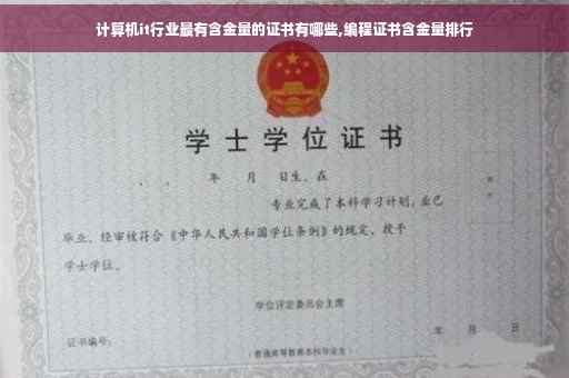 计算机it行业最有含金量的证书有哪些,编程证书含金量排行