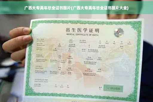广西大专两年毕业证书图片(广西大专两年毕业证书图片大全)
