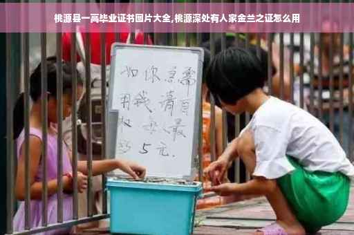 桃源县一高毕业证书图片大全,桃源深处有人家金兰之证怎么用
