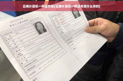 云南计算机一级证书是(云南计算机一级证书是什么样的)