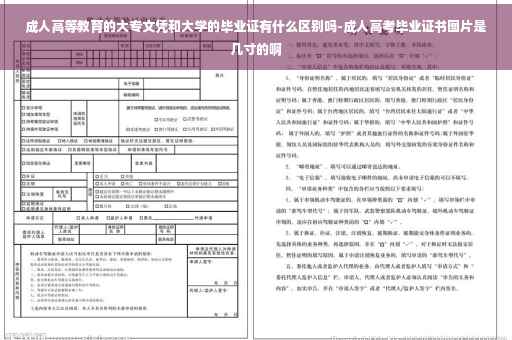成人高等教育的大专文凭和大学的毕业证有什么区别吗-成人高考毕业证书图片是几寸的啊