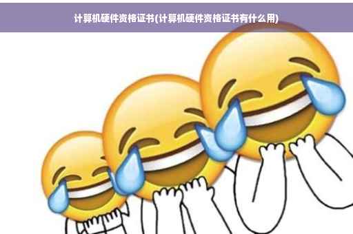 计算机硬件资格证书(计算机硬件资格证书有什么用)
