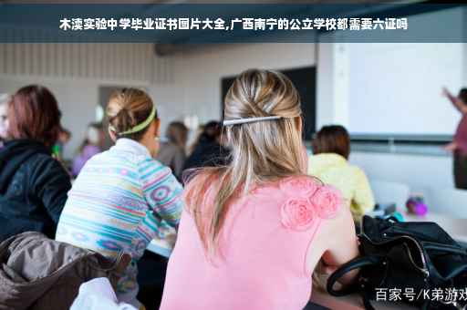 木渎实验中学毕业证书图片大全,广西南宁的公立学校都需要六证吗