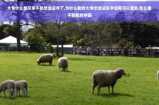 大专什么情况拿不到毕业证书了,为什么我的大专毕业证在学信网可以查到.怎么查不到我的学籍
