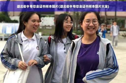 湖北省中专毕业证书样本图片(湖北省中专毕业证书样本图片大全)