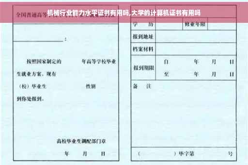 机械行业能力水平证书有用吗,大学的计算机证书有用吗