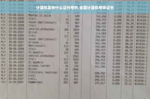 计算机系有什么证书考的,全国计算机考级证书