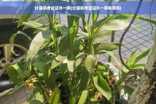 计算机考试证书一级(计算机考试证书一级有用吗)