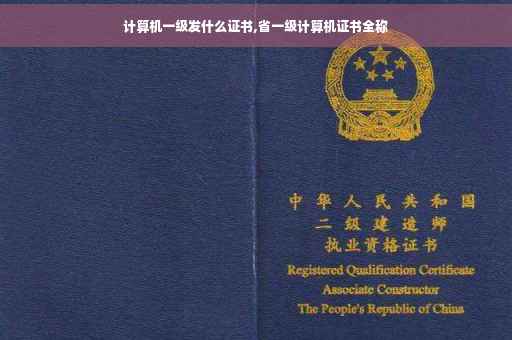 计算机一级发什么证书,省一级计算机证书全称
