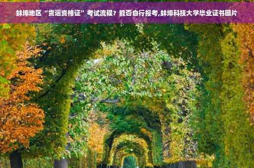 蚌埠地区“货运资格证”考试流程？能否自行报考,蚌埠科技大学毕业证书图片