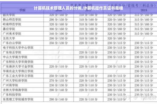 计算机技术管理人员的分类,计算机操作员证书是啥