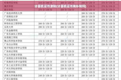 计算机证书津贴(计算机证书有补贴吗)
