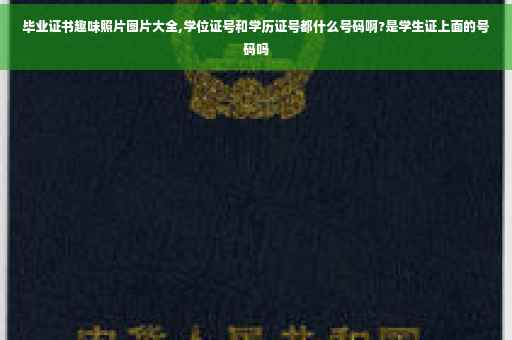 毕业证书趣味照片图片大全,学位证号和学历证号都什么号码啊?是学生证上面的号码吗 毕业证书趣味照片图片大全,学位证号和学历证号都什么号码啊?是学生证上面的号码吗