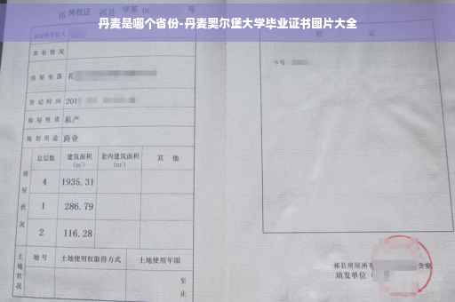 丹麦是哪个省份-丹麦奥尔堡大学毕业证书图片大全