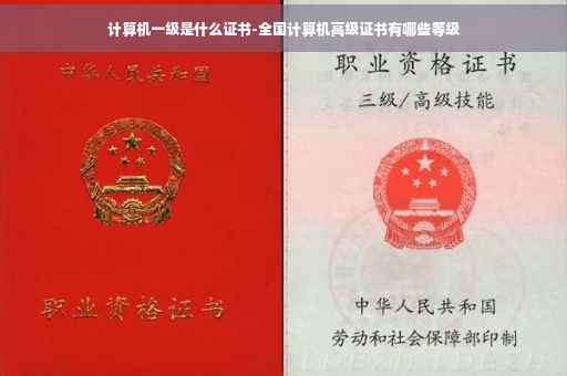 计算机一级是什么证书-全国计算机高级证书有哪些等级