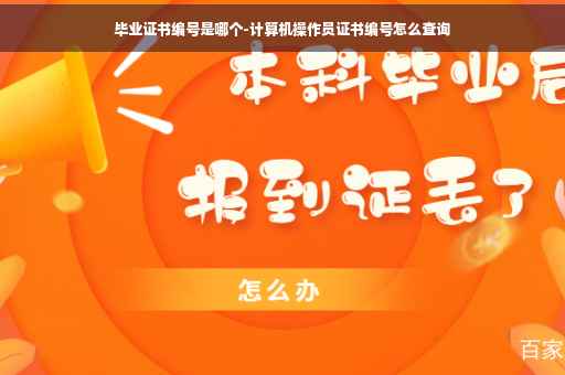 毕业证书编号是哪个-计算机操作员证书编号怎么查询