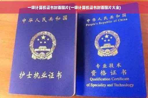 一级计算机证书封面图片(一级计算机证书封面图片大全)