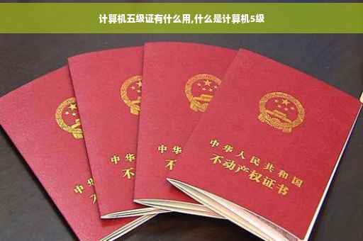 计算机五级证有什么用,什么是计算机5级