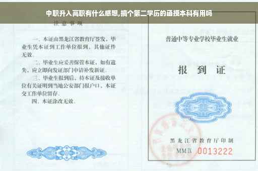 中职升入高职有什么感想,搞个第二学历的函授本科有用吗
