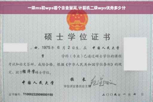 一级ms和wps哪个含金量高,计算机二级wps优秀多少分