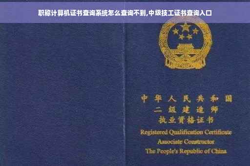 职称计算机证书查询系统怎么查询不到,中级技工证书查询入口