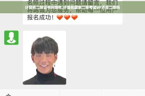 计算机二级证书叫啥名,计算机国家二级考试VF还是二级吗