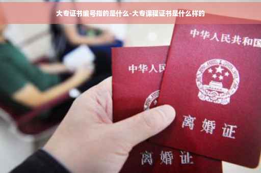大专证书编号指的是什么-大专课程证书是什么样的 大专证书编号指的是什么-大专课程证书是什么样的