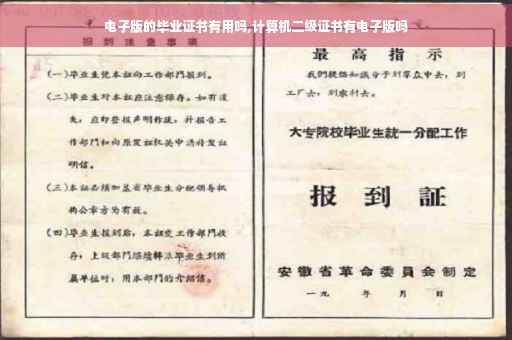 电子版的毕业证书有用吗,计算机二级证书有电子版吗