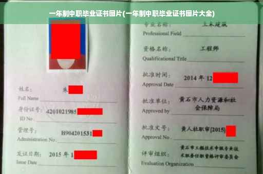 一年制中职毕业证书图片(一年制中职毕业证书图片大全)