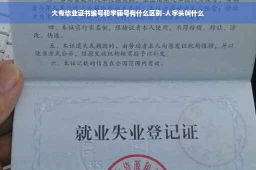 大专毕业证书编号和学籍号有什么区别-人字头叫什么