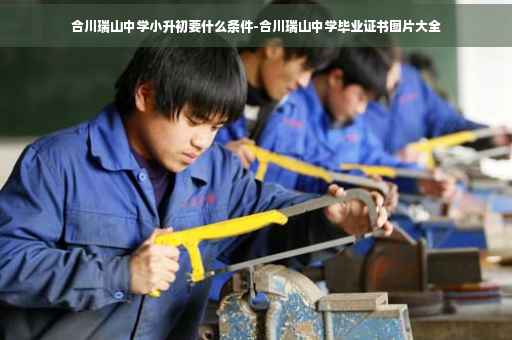 合川瑞山中学小升初要什么条件-合川瑞山中学毕业证书图片大全