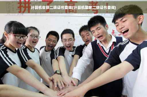 计算机省级二级证书查询(计算机国家二级证书查询)