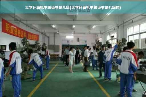 大学计算机中级证书是几级(大学计算机中级证书是几级的)