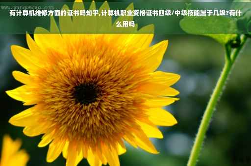 有计算机维修方面的证书吗知乎,计算机职业资格证书四级/中级技能属于几级?有什么用吗
