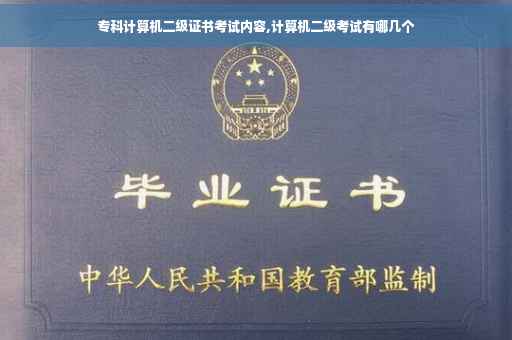 专科计算机二级证书考试内容,计算机二级考试有哪几个