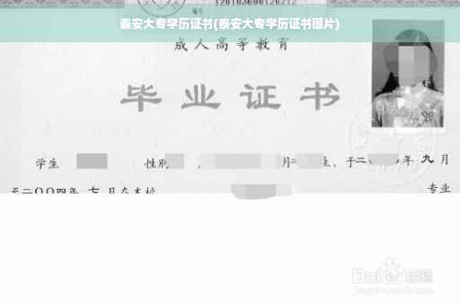 泰安大专学历证书(泰安大专学历证书图片)