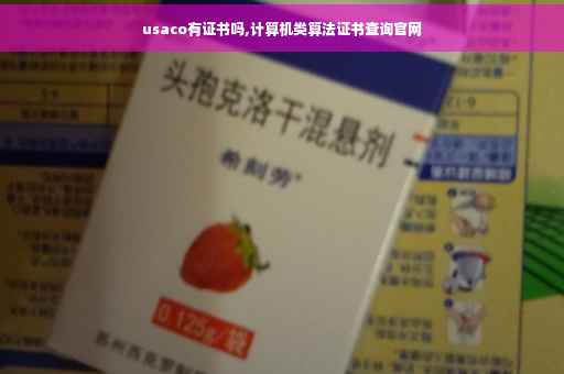 usaco有证书吗,计算机类算法证书查询官网