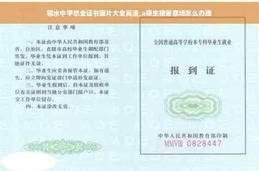 邻水中学毕业证书图片大全高清,a级生猪屠宰场怎么办理